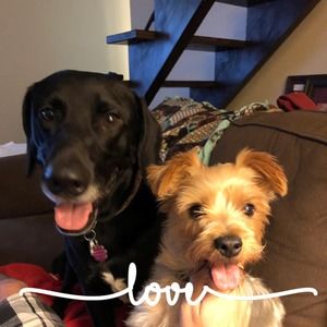 Meet your Posher, Carrie